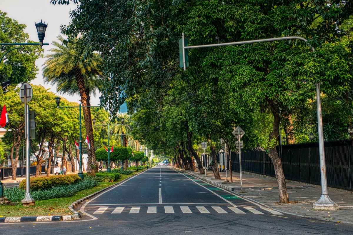 rue indonésienne avec panneaux numériques