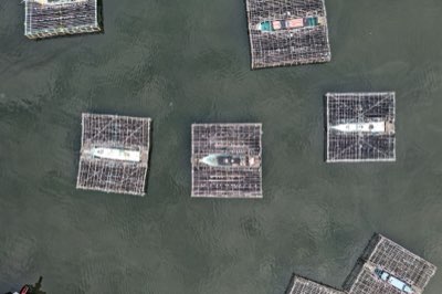 72.8%浸透率の市場で勝つ！クリエイターの成功戦略を徹底分析